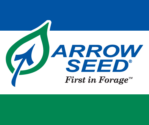 Arrow Seed