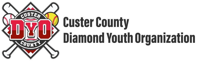 Diamond Youth Organization